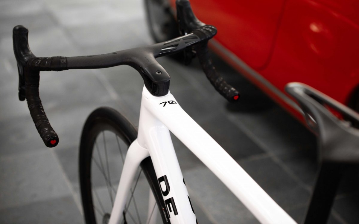 De Rosa Settanta - Detailfoto