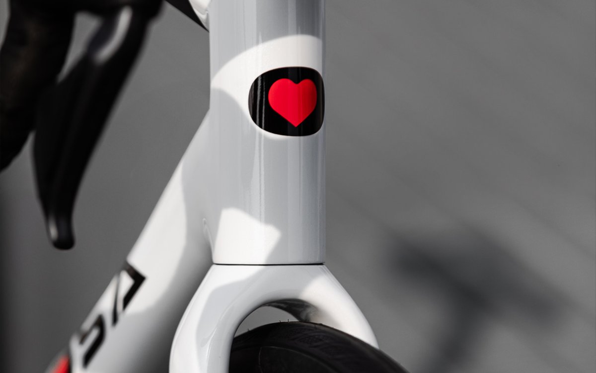 New lines, same passion.